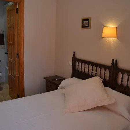 Hostal Los Claveles-3